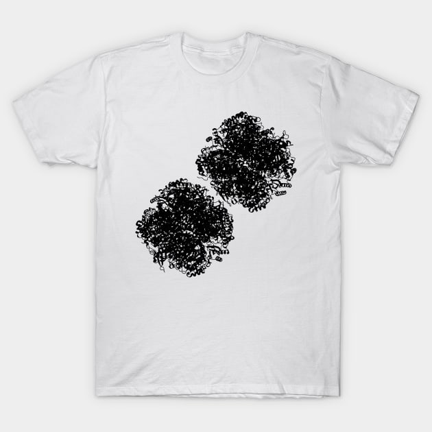 RuBisCo - Structure, black T-Shirt by RosArt100